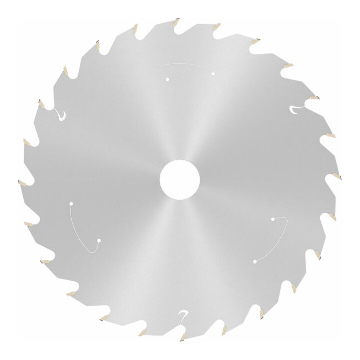Lame de scie circulaire Bosch Standard pour bois, 160x1.5/1x20, 24 dents