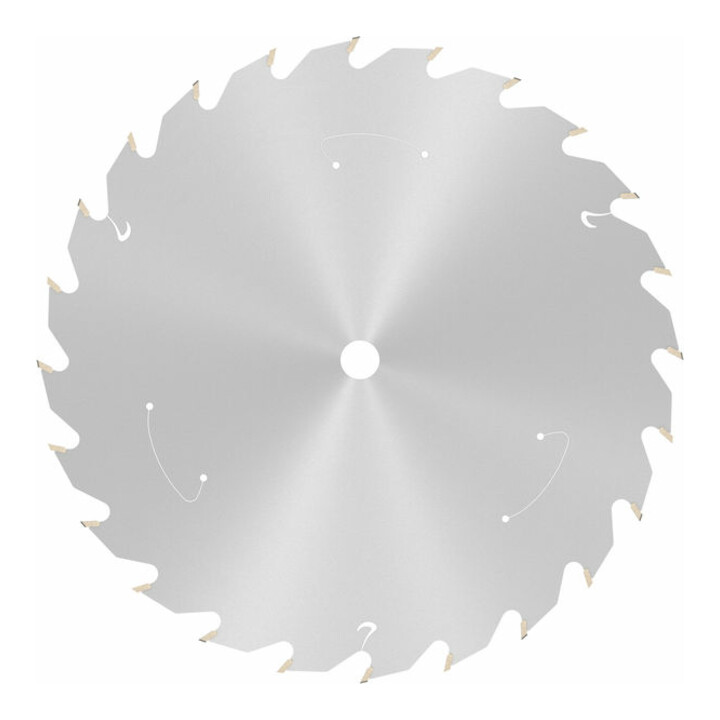 Lame de scie circulaire Bosch Standard pour bois, 165x1.5/1x10, 24 dents