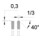 Lame de scie circulaire EDESSÖ Precision TFneg (NE) Multidents, HW NE neg-3