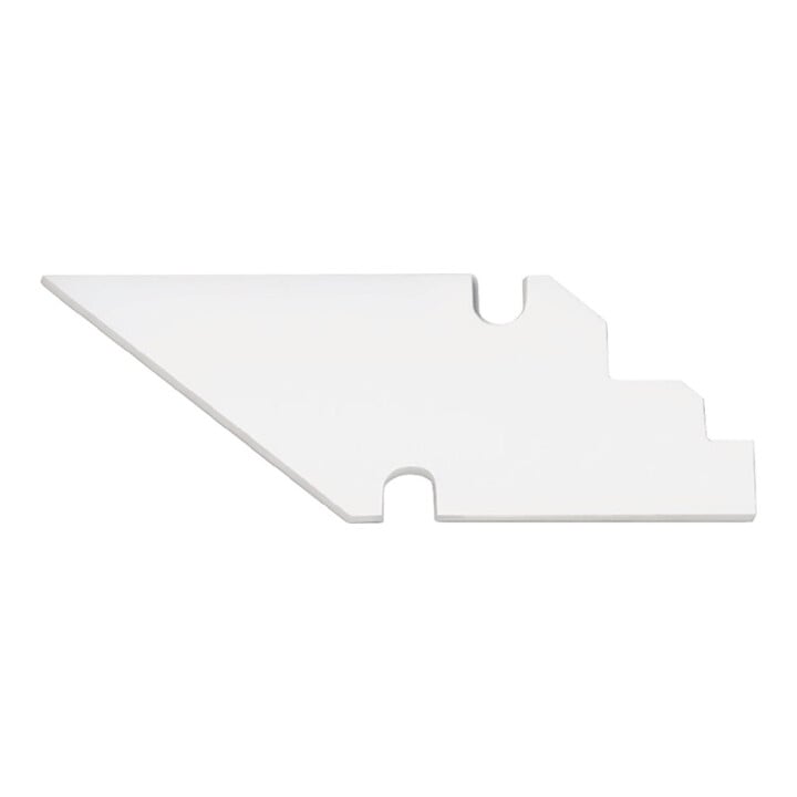 Lame Q10