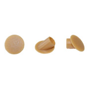 Lamello Abdeckkappe Clamex 45° 5000 Stück RAL 1011 Buche-1