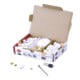 Lamello Cabineo 8 M6 Starterset mit 80 Stk. Cabineo 8 M6 je 40 Stk. Muffen und Abdeckkappen, 1 Stk Bit