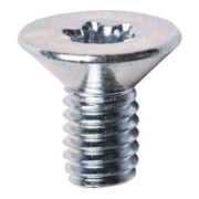 Lamello Senkschraube, TX, M4x8 mm, T20-1