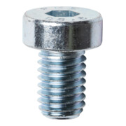 Lamello Zylinderschraube M5x10mm-1