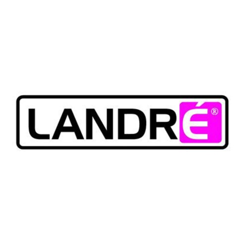 Landre Collegeblock 100050114 DIN A5 mit Rand 80Blatt kariert