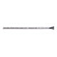 Lapp Kabel&Leitung ÖLFLEX CLASSIC 110 CY 4G1,5 1135304 R100