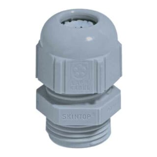 Lapp Zubehör Kabelverschraubung SKINTOP ST Pg16 R7001 SGY