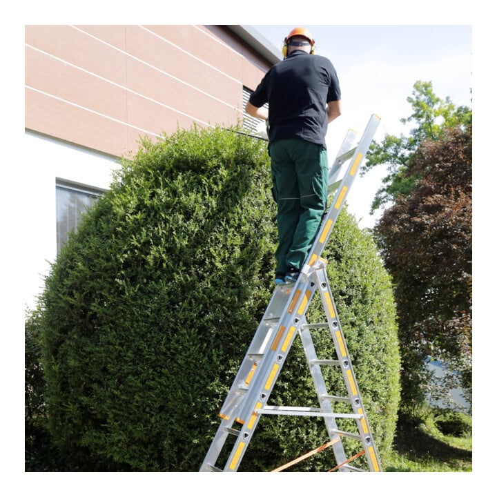 Layher Allzweckleiter TOPIC 1041 3-teilig 3 x 10 Stufen