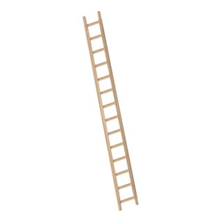 Layher Bau-Holzanlegeleiter 1036 21 Sprossen
