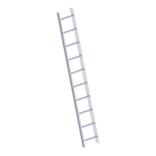 Layher Dachauflegeleiter 1051 10 Sprossen Alu natur gem. DIN 4567-4