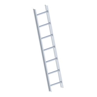 Layher Dachauflegeleiter 1051 10 Sprossen grau/RAL 7016 gem. DIN 4567-4