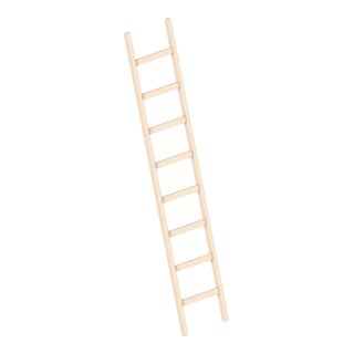 Layher Holzanlegeleiter 1052 10 Sprossen
