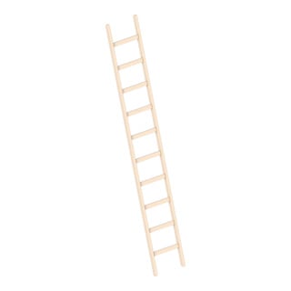 Layher Holzanlegeleiter 1052 10 Sprossen