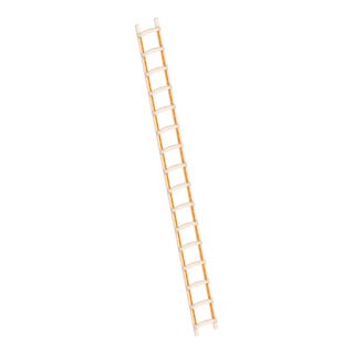 Layher Holzdachdeckerleiter 1046 16 Sprossen