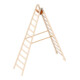 Layher Holzstehleiter 1038 2x12 Sprossen