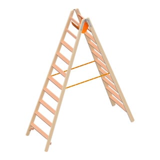 Layher Holzstehleiter 2x10 Stufen