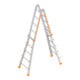 Layher Teleskopleiter TOPIC 1058 4x5 Sprossen