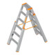 Layher Treppenstehleiter TOPIC 1062 2x6 mit Stufen