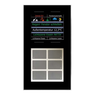 LCN Glas-Tastenfeld GT10DB sw 10 Tasten 6 LEDs 2,8" Display
