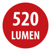 LED accu-werkplaatsverlichting WL 500 A IP54 520lm-2