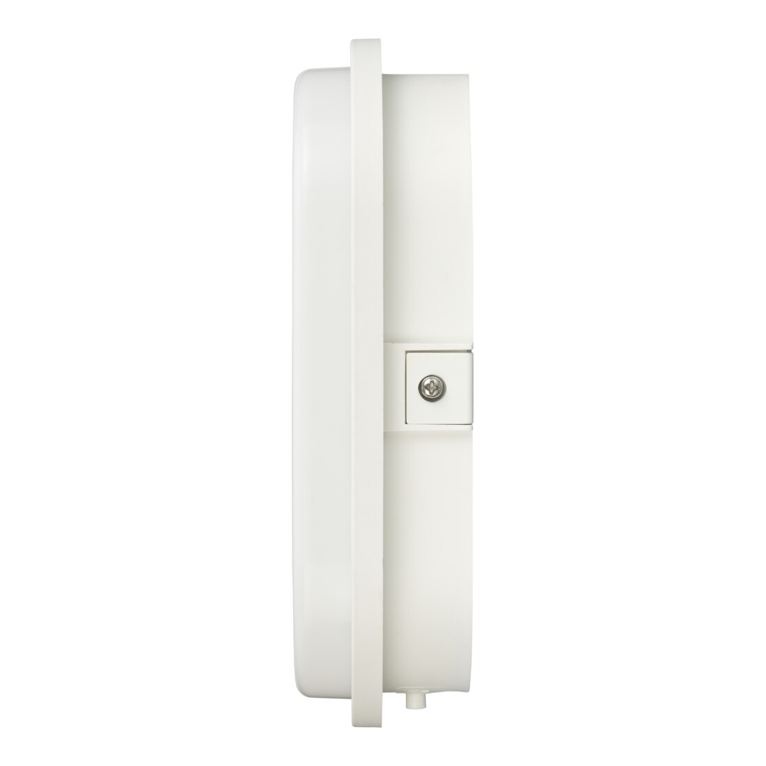 LED ovale armatuur OL 1650 1680lm, wit, IP65