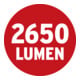 LED-schrijnwerper JARO 3050 M, 2650lm, 30W, 3m H07RN-F 3G1,0, IP65