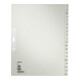 Leitz Register 12010085 DIN A4 A-Z volle Höhe Tauenpapier grau