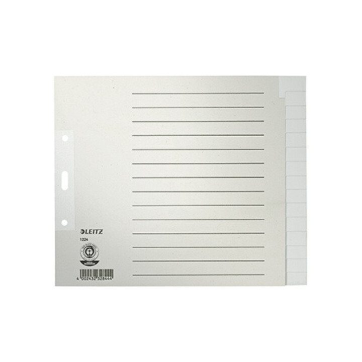 Leitz Register 12240085 blanko DIN A4 15teilig Papier grau