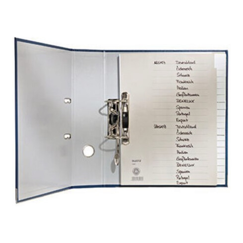 Leitz Register 43590000 DIN A4 blanko volle Höhe 230g Karton sort.