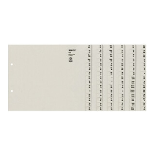 Leitz Registerserie 13060085 DIN A4 A-Z für 6Ordner Tauenpapier grau