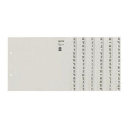 Leitz Registerserie 13120085 DIN A4 A-Z für 12Ordner Tauenpapier grau