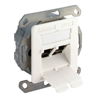 Leviton LSA Dose 2-fach WAEG6V 8/8 EKR/EK