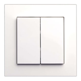 Lingg & Janke Capteur tactile TA4F55-SAT-E 55 × 55 mm 24V sans bascule