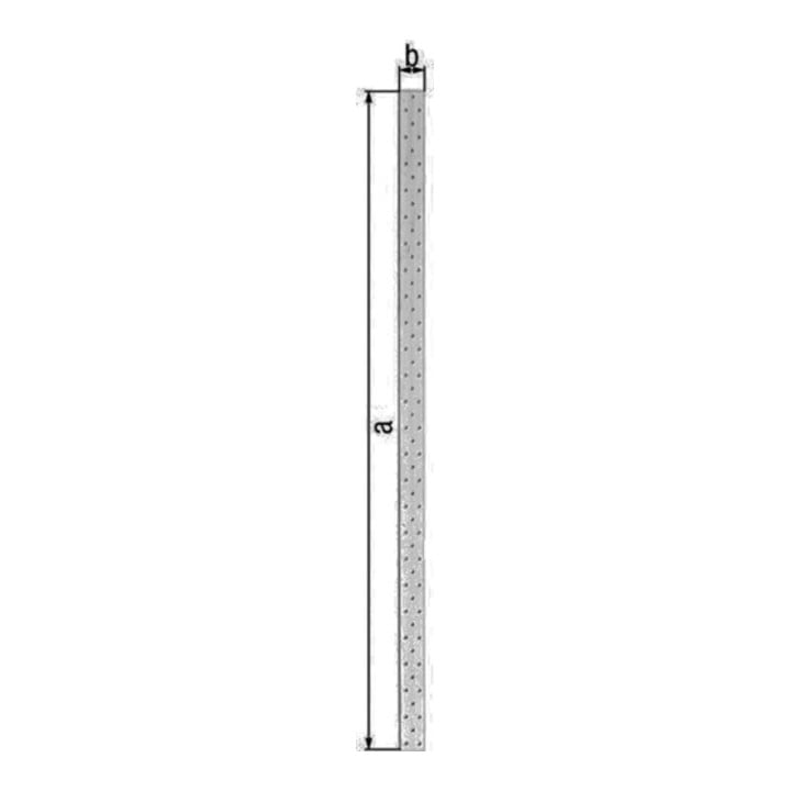 Lochplattenstreifen 1000x40x2 sdmverz.GAH