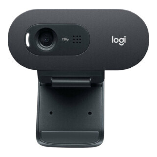 Logitech Webcam USB HD,30FPS,Business C505e