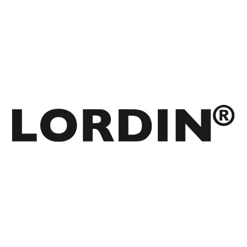 Lordin Liquid Power Handwaschpaste, 3l PE-Dose, seifenfrei und lösemittelfrei