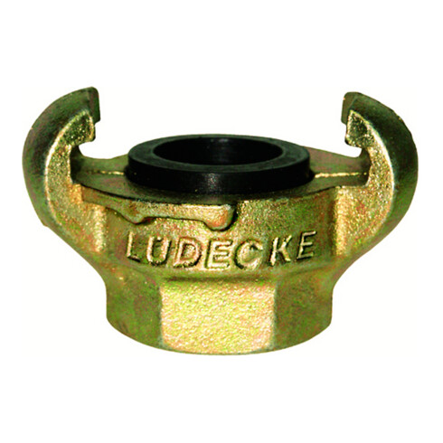 Lüdecke Raccord fileté pour griffes DIN 3489, fonte malléable, FI 3/4", Clé 32
