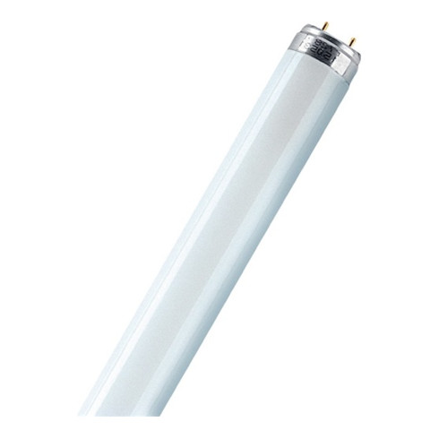 LUMILUX® T8  26x1500  G13  58W / 830  LUMILUX Warm White