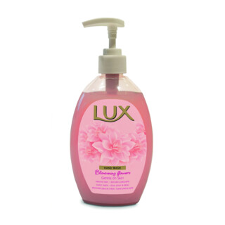 Lux Professional lavage à la main 0,5 L