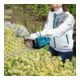 Makita Akku-Klimaweste, weiß Größe 3XL (DFV210Z3XL)