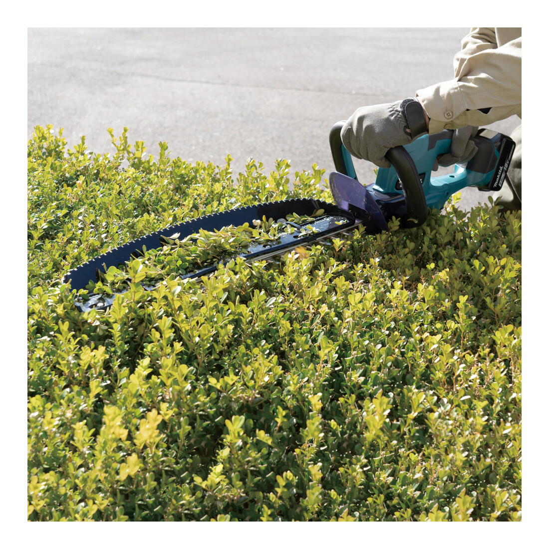 Makita Taille-haies sans fil DUH507Z, 18V, 50 cm, 15 mm