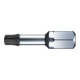 Makita Bit diamantato Torx, L25mm, 1/4" attacco-1