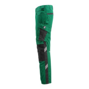 Mascot Hose Mannheim Grün/Schwarz-2