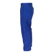 Mascot Hose Pittsburgh kornblau-2