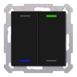 MDT Taster Light 55 double RGBW noir mat Neutre BE-TAL550206.01
