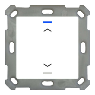 MDT technologies Taster Light 55 1 voie RGBW, blanc chaud/blanc neutre BE-TAL5501.A1
