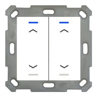 MDT technologies Taster Light 55 double RGBW, blanc chaud/clair, volet BE-TAL5502.A1