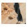 Foret à bois Bosch avec tige hexagonale 1/4".-3