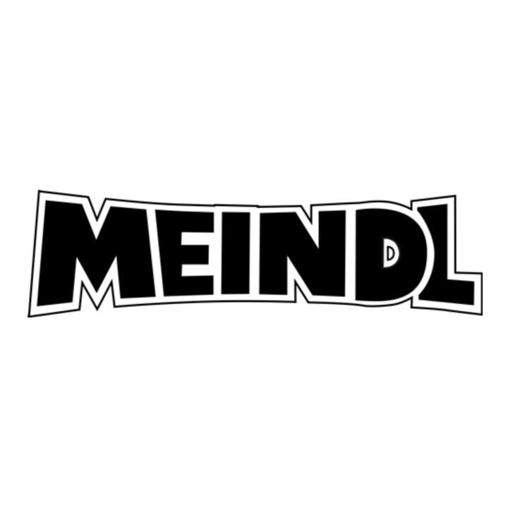 Meindl Trekkingsschuh Caracas GTX® Gr.46 – 11 dunkelbraun Leder Gore-Tex® Futter