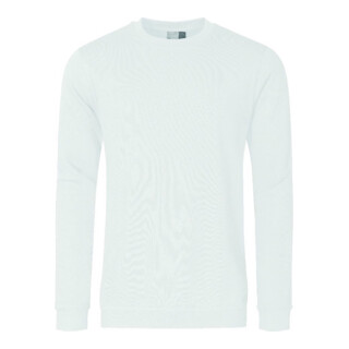 Sweatshirt lichtgrau